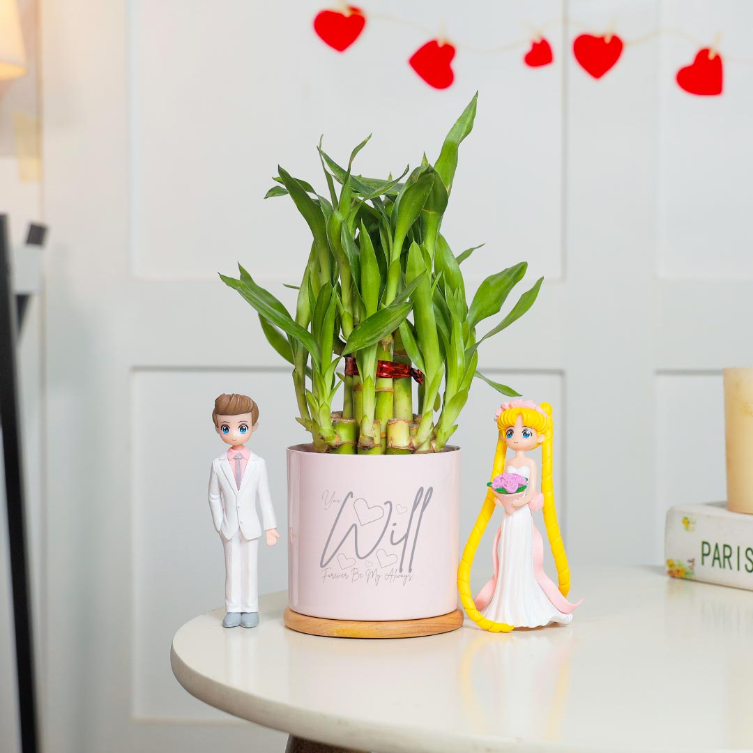 https://www.unrealgift.com/Forever Be Mine - Lucky Bamboo with Couple Showpeice